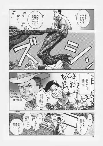 [Ashika] Hankouki Fhentai - Page 14