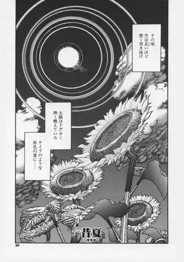 [Ashika] Hankouki Fhentai - Page 31