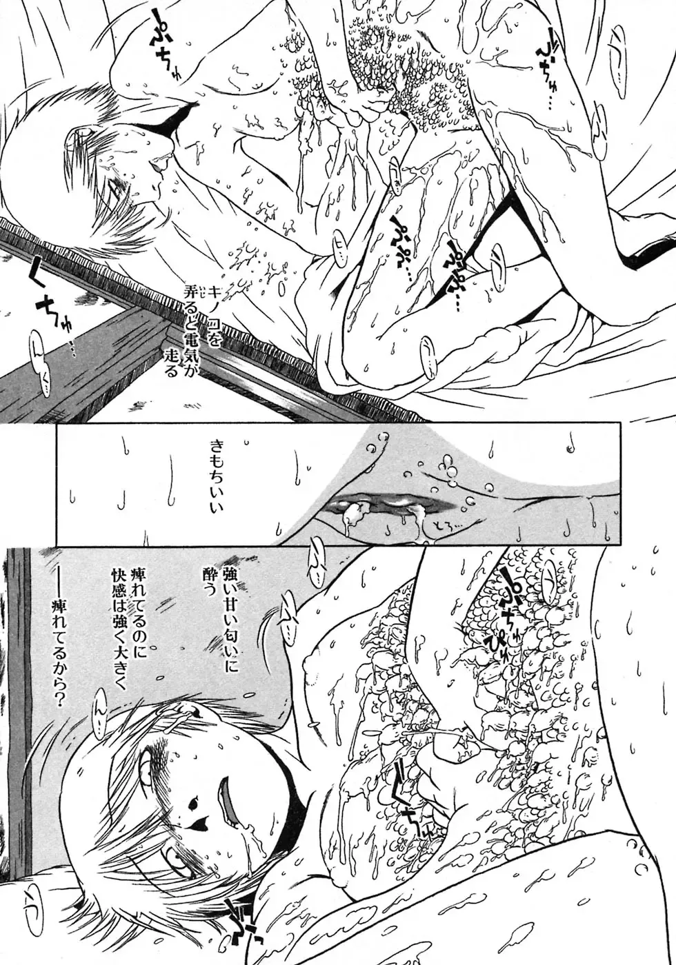 [Horihone Saizou] Niku no Ana Fhentai - Page 113