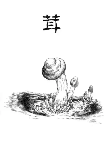 [Horihone Saizou] Niku no Ana Fhentai - Page 103