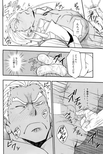 [Mizuki Gai] Second Love Fhentai - Page 11