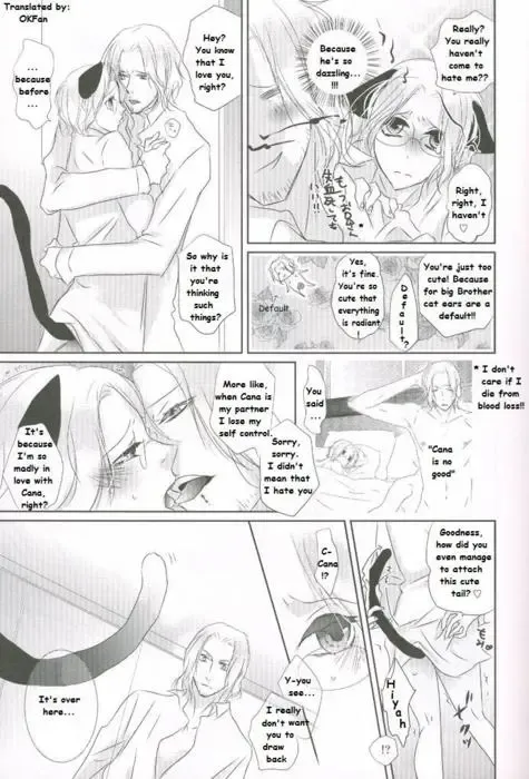 France x Canada: Do You Want a Cat? Fhentai - Page 11