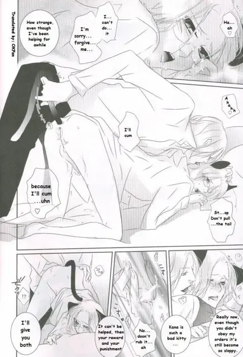 France x Canada: Do You Want a Cat? Fhentai - Page 14