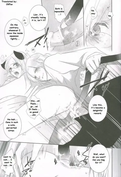 France x Canada: Do You Want a Cat? Fhentai - Page 15