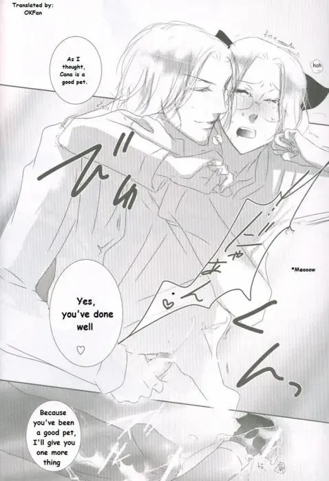 France x Canada: Do You Want a Cat? Fhentai - Page 16