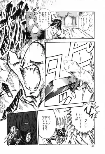 [Mita Ryuuji - Rokuma Susumu] Hime Hana Fhentai - Page 110