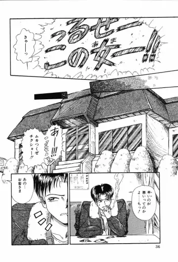 [Mita Ryuuji - Rokuma Susumu] Hime Hana Fhentai - Page 38