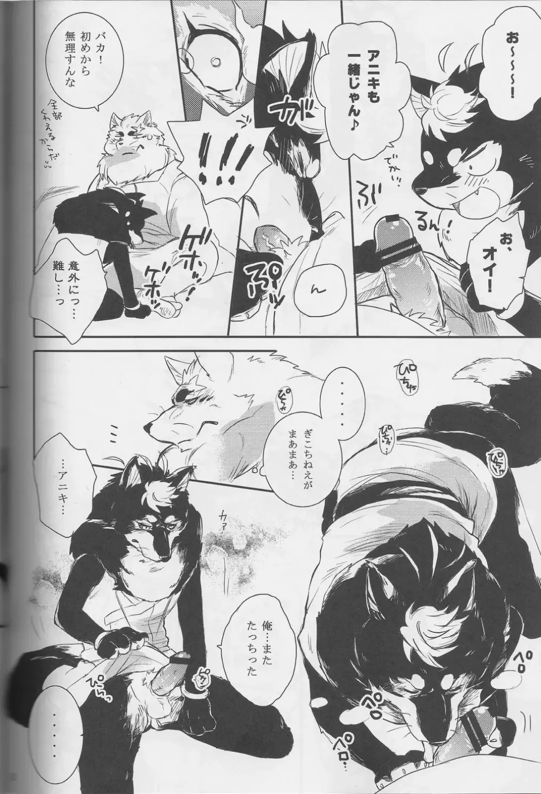 [Kamidou Haruki] Ginsetsu Fhentai - Page 11