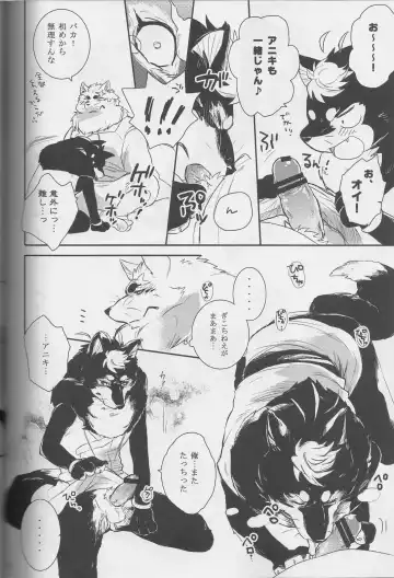 [Kamidou Haruki] Ginsetsu Fhentai - Page 11