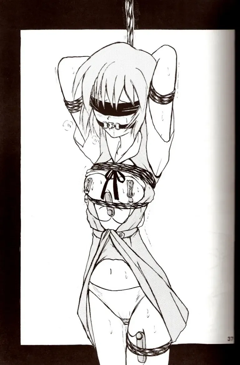 [Maki Hideto - Sahara Ikkou] Second Hobaku Project 2 Fhentai - Page 36