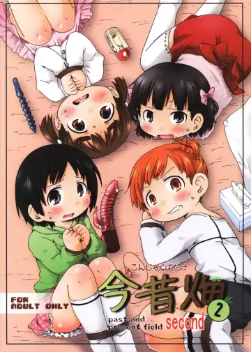 Read [Natsufuyu Denki] - Past and Present Field 2 - Fhentai