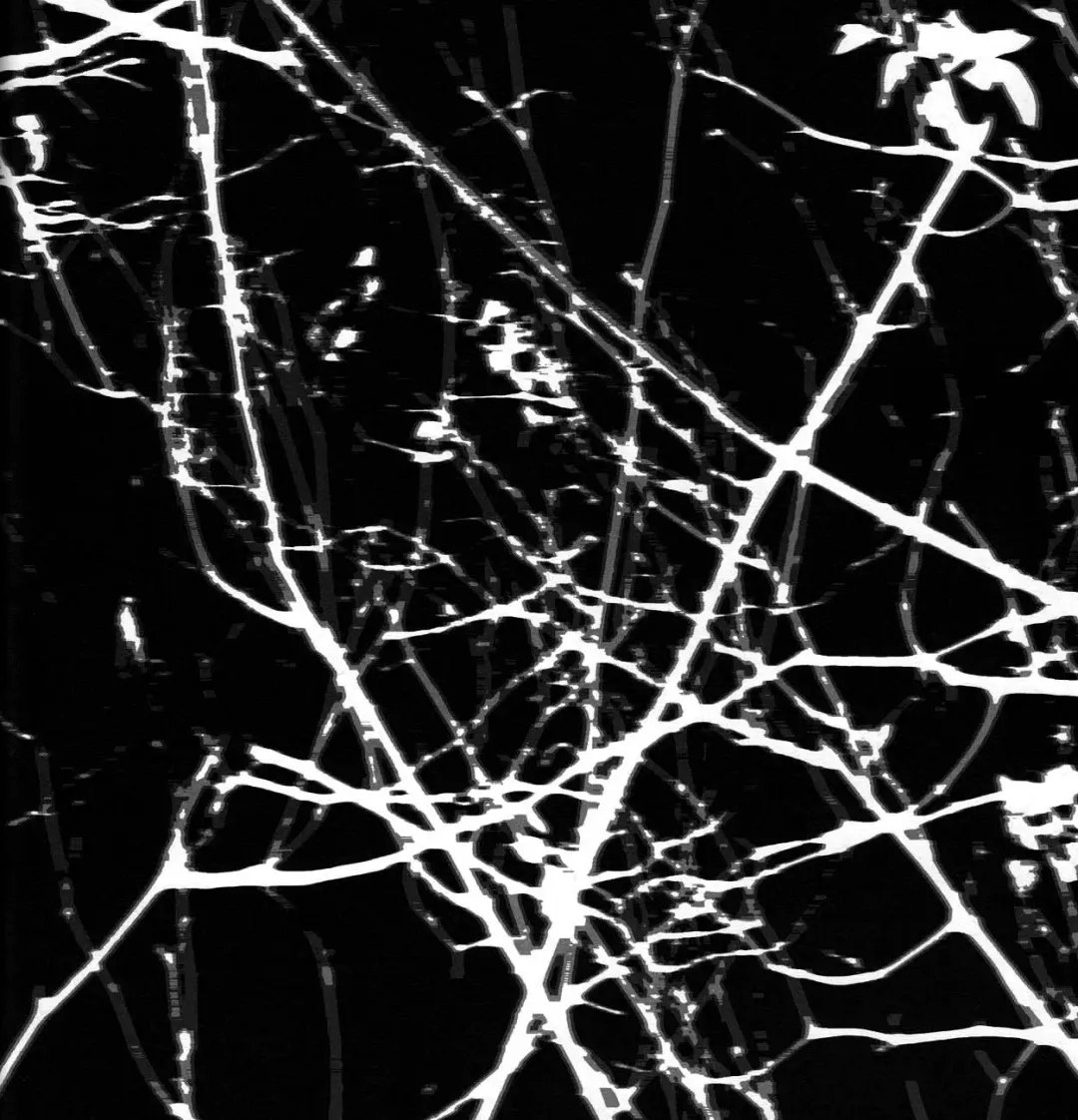 [Himemiko - Sakamoto Mano] MA VIE EN ROSE Fhentai - Page 40