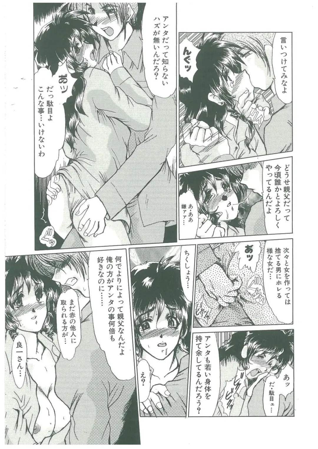 [Fukada Takushi] Reijou Hitomi Fhentai - Page 95