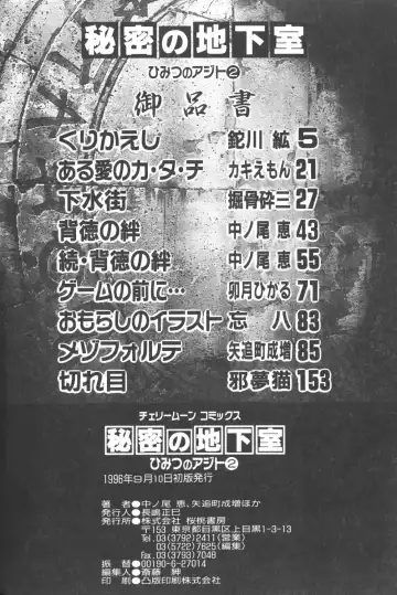 Himitsu no Chikashitsu Vol.2 Fhentai - Page 164