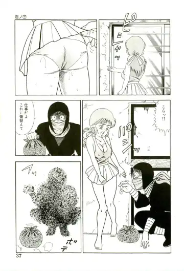 [Goblin] Ganbare Kunoichi Keiko Fhentai - Page 39