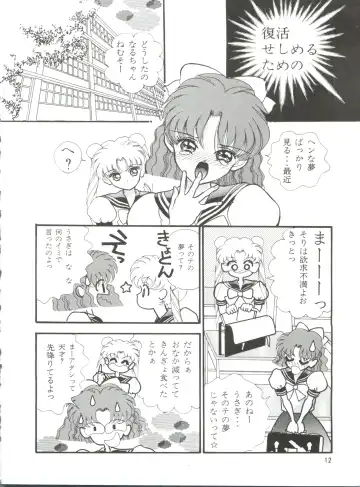 [Cashue] Moon Samsara Fhentai - Page 11