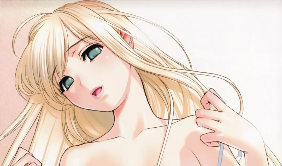 [Sano Toshihide] Sano Toshihide Illustrations Fhentai - Page 9