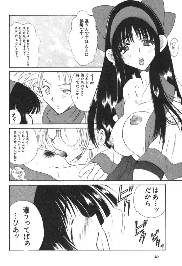 Shin Bishoujo Shoukougun 3 Yamato hen Fhentai - Page 31
