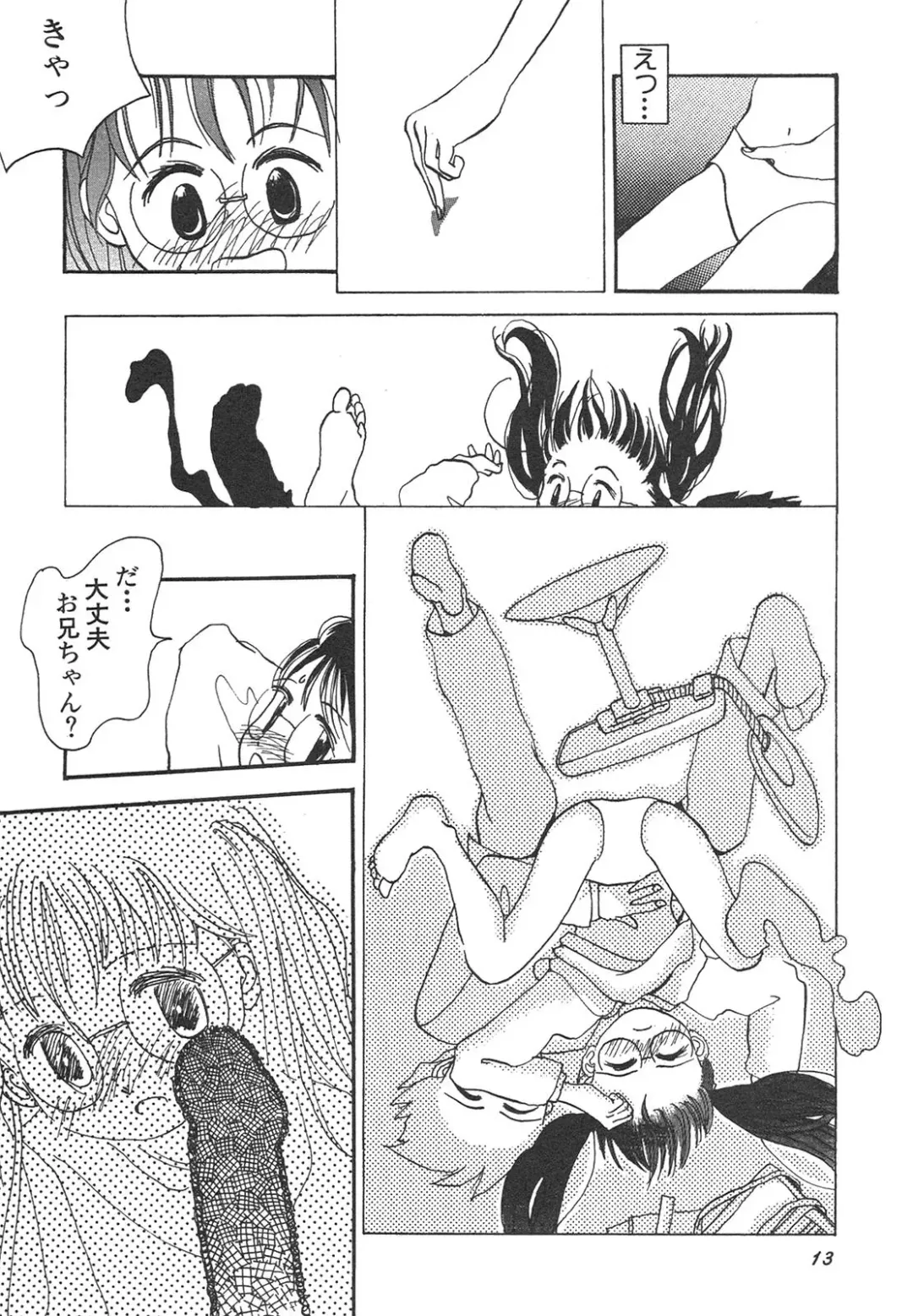 Shin Bishoujo Shoukougun 4 Houou hen Fhentai - Page 14