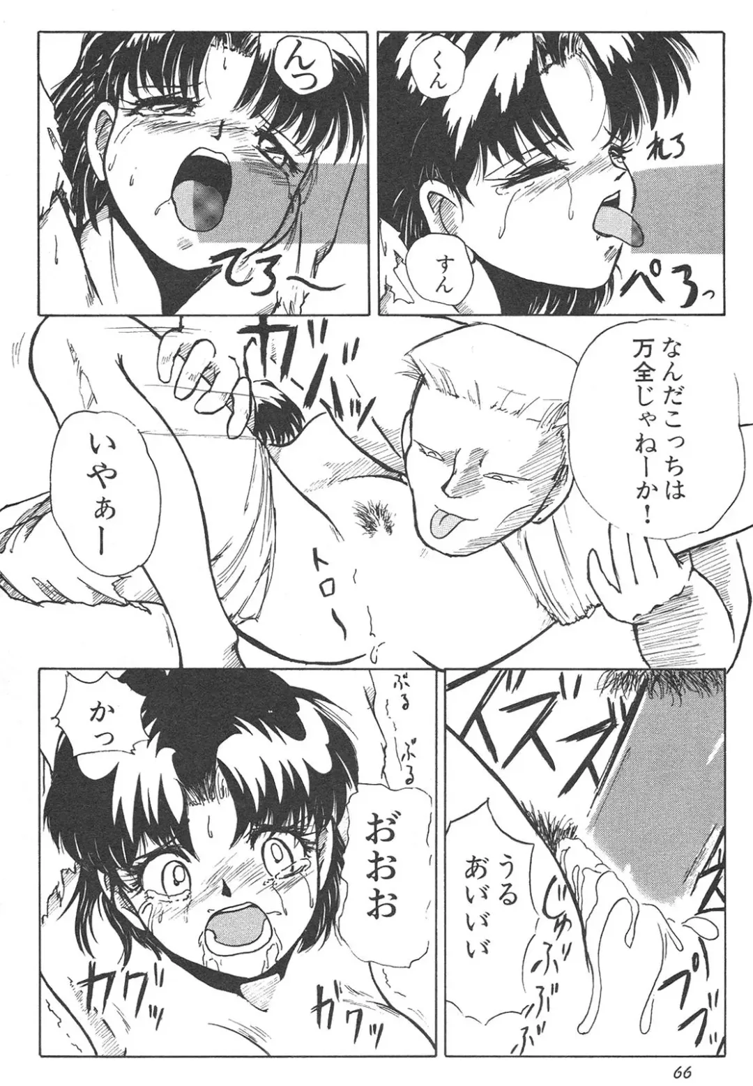 Shin Bishoujo Shoukougun 4 Houou hen Fhentai - Page 66