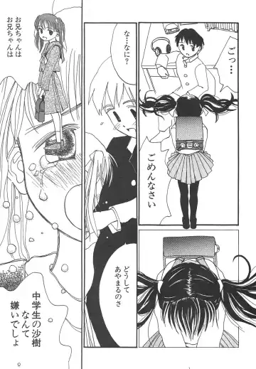 Shin Bishoujo Shoukougun 4 Houou hen Fhentai - Page 10