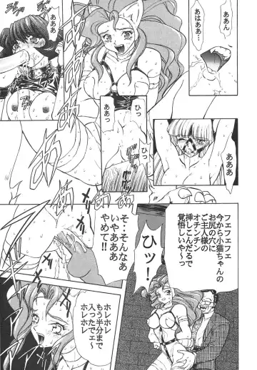 Shin Bishoujo Shoukougun 4 Houou hen Fhentai - Page 137