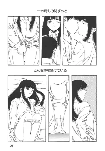 Shin Bishoujo Shoukougun 4 Houou hen Fhentai - Page 25