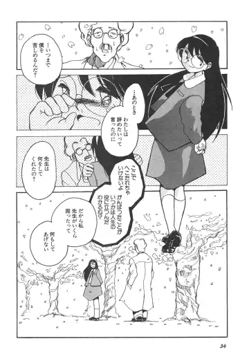 Shin Bishoujo Shoukougun 4 Houou hen Fhentai - Page 34