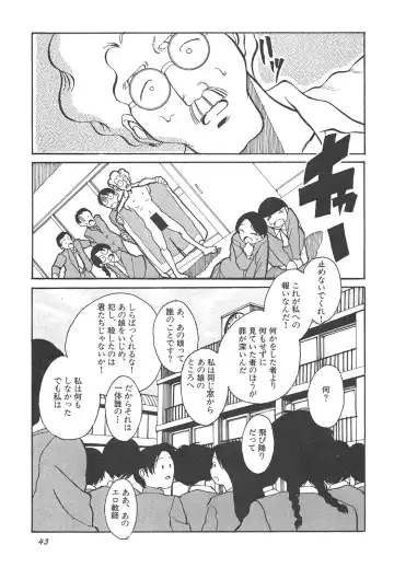 Shin Bishoujo Shoukougun 4 Houou hen Fhentai - Page 43