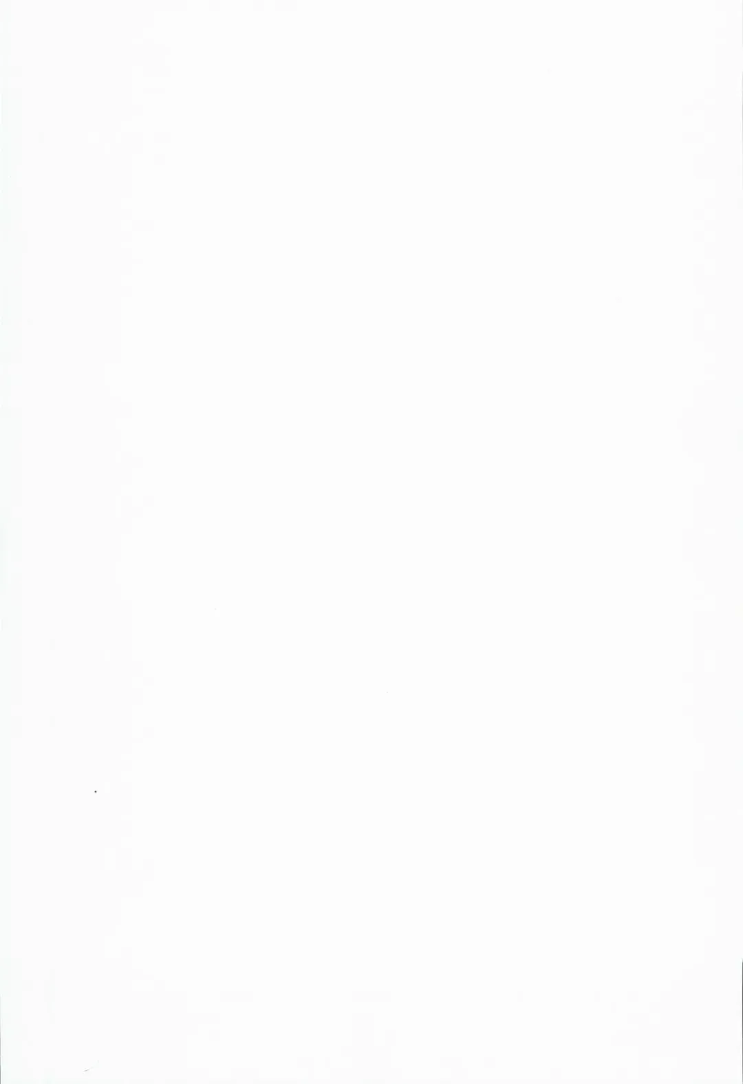 [Noripachi] Off-Pako Shining Fhentai - Page 25