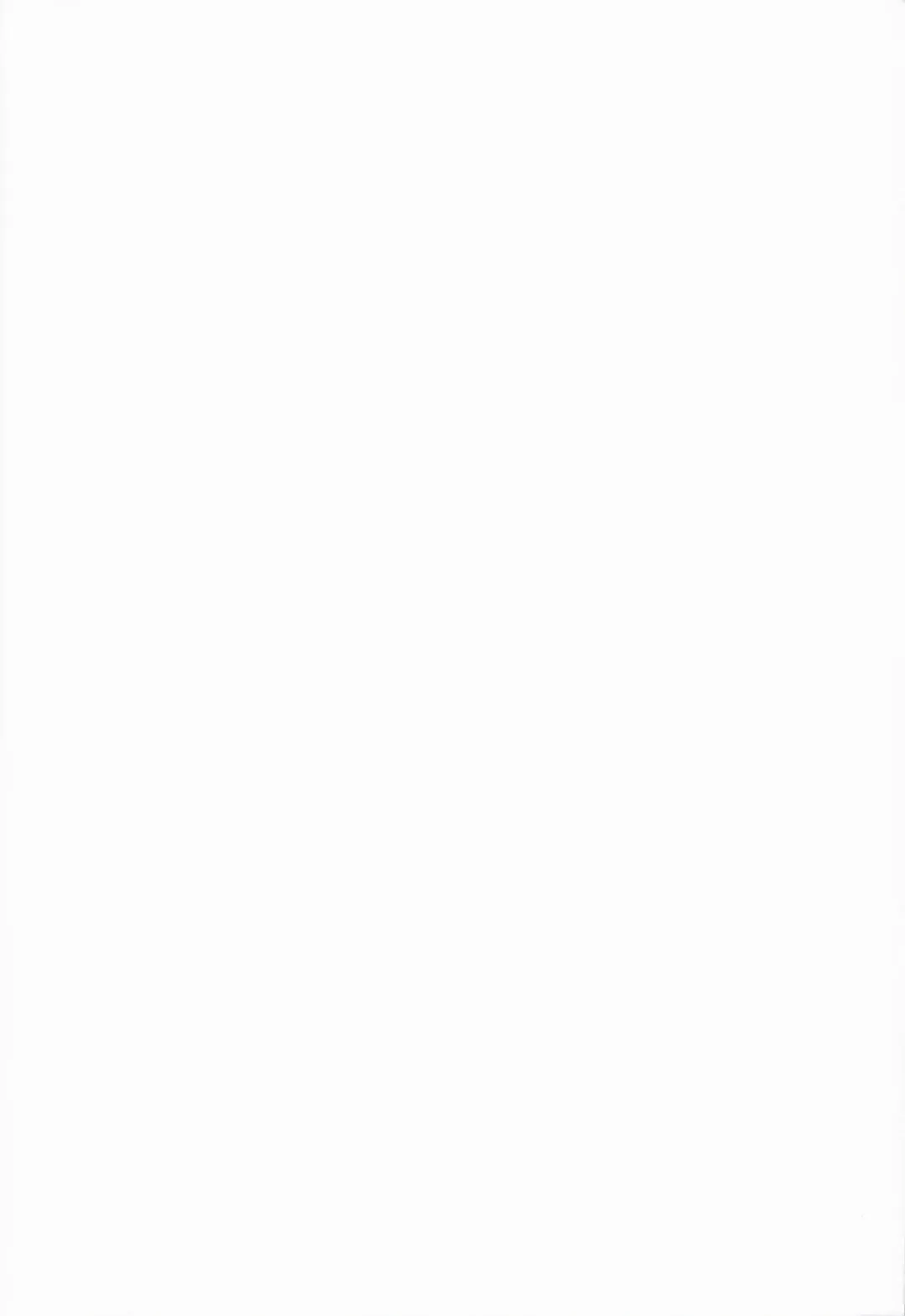 [Riki] ACH05 Fhentai - Page 2