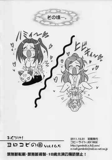 [Joy Ride] Yorokobi no Kuni Vol.16.5 C81 Gentei Hanpu! Fhentai - Page 8