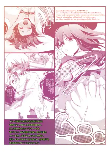 [Haitokukan] Touhou Toumei Ningen 2 Shinnyuu Renko n Chi Fhentai - Page 18