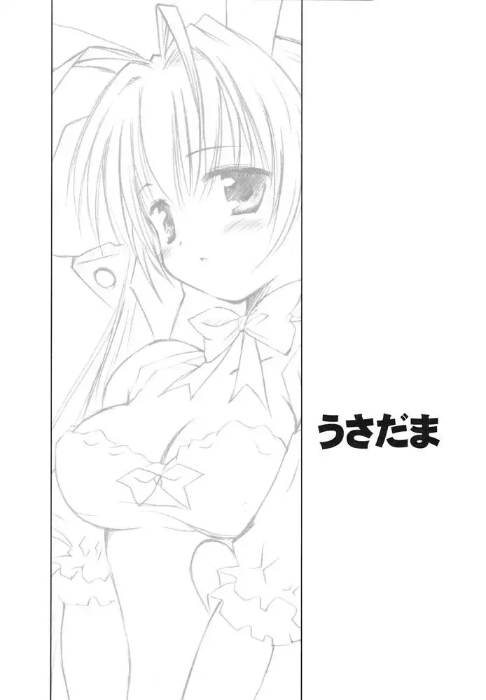 [Mizuki Takehito] Usada Mania na Fhentai - Page 20