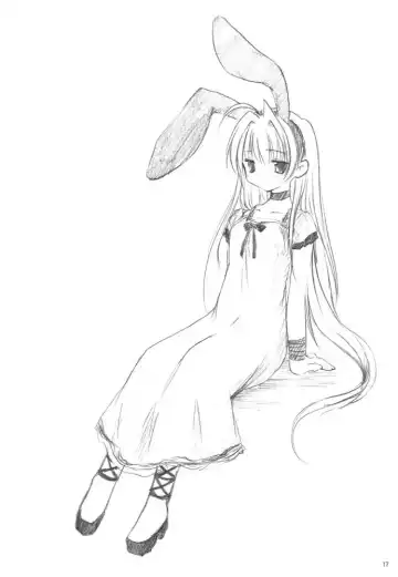 [Mizuki Takehito] Usada Mania na Fhentai - Page 17