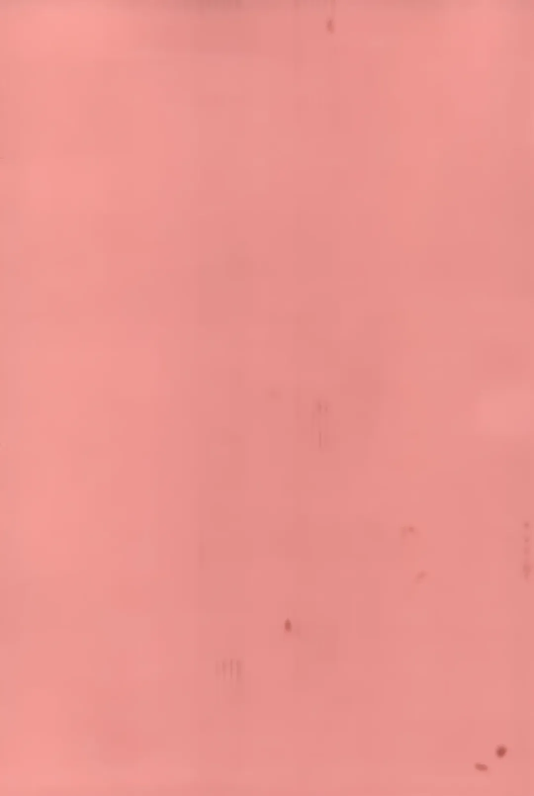 [Shinobu Tanei] Imouto Shojo Gensou Fhentai - Page 201