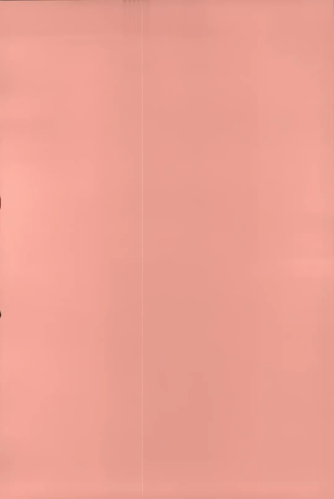 [Shinobu Tanei] Imouto Shojo Gensou Fhentai - Page 4