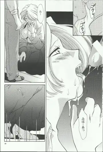 [Momoya Show-neko] Maria 2 Fhentai - Page 20