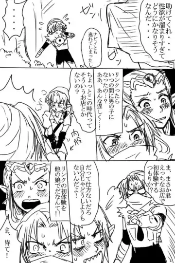 [Wasabi] Link to Zelda ga Jun Ai Ecchi suru Manga Fhentai - Page 4