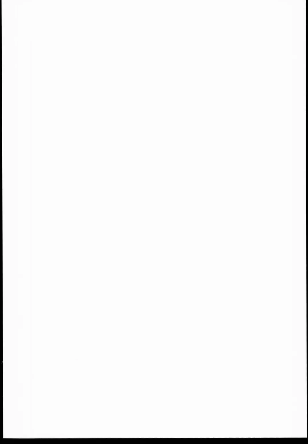 [Darabuchi] Seedbed Fhentai - Page 2