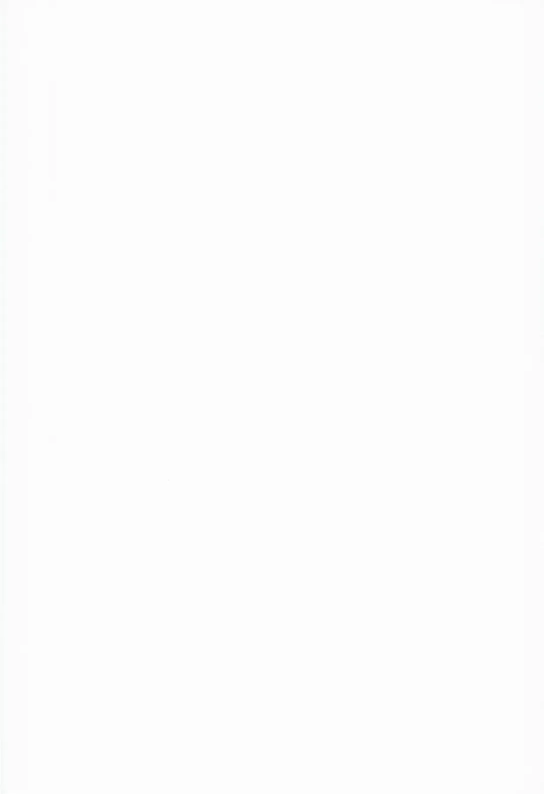 [Konmori] Daitai Wakarushi Fhentai - Page 2