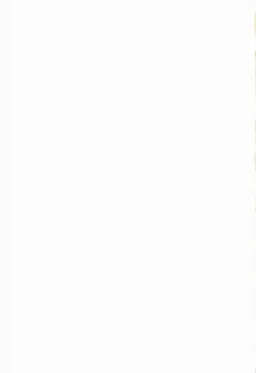 [3e] OPAQUE Fhentai - Page 27