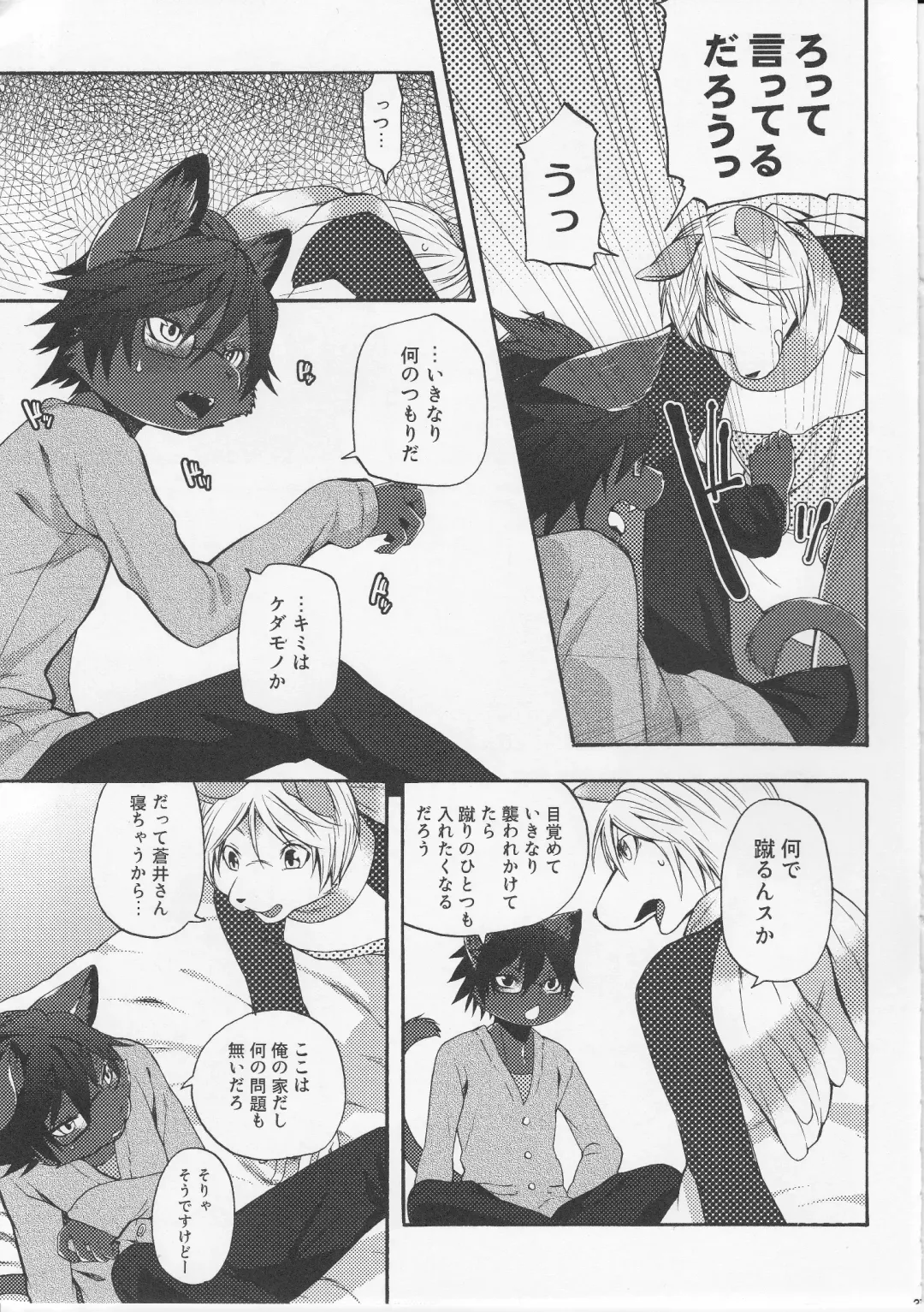 [Inumimi Moeta] Aoi-san to Yoru Fhentai - Page 26