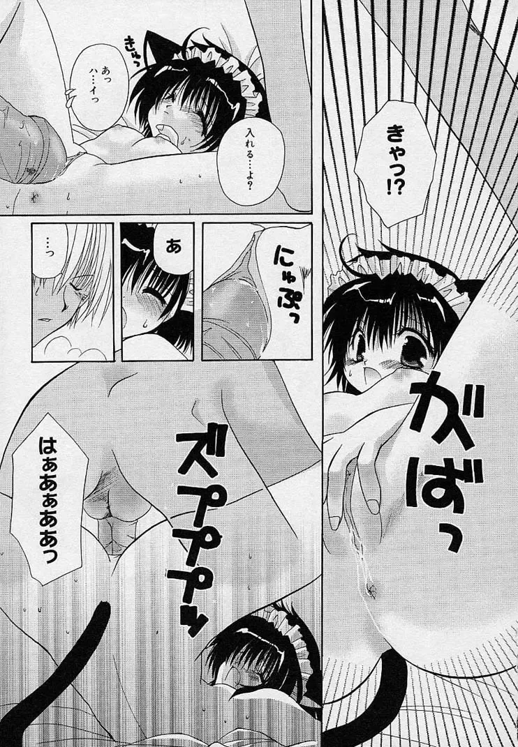 [Takanae Kyourin] Soshite, Boku wa Koi o Suru. Fhentai - Page 94