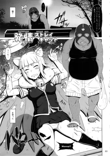 [A-teru Haito] Hatsujou Stray Cat Fhentai - Page 2