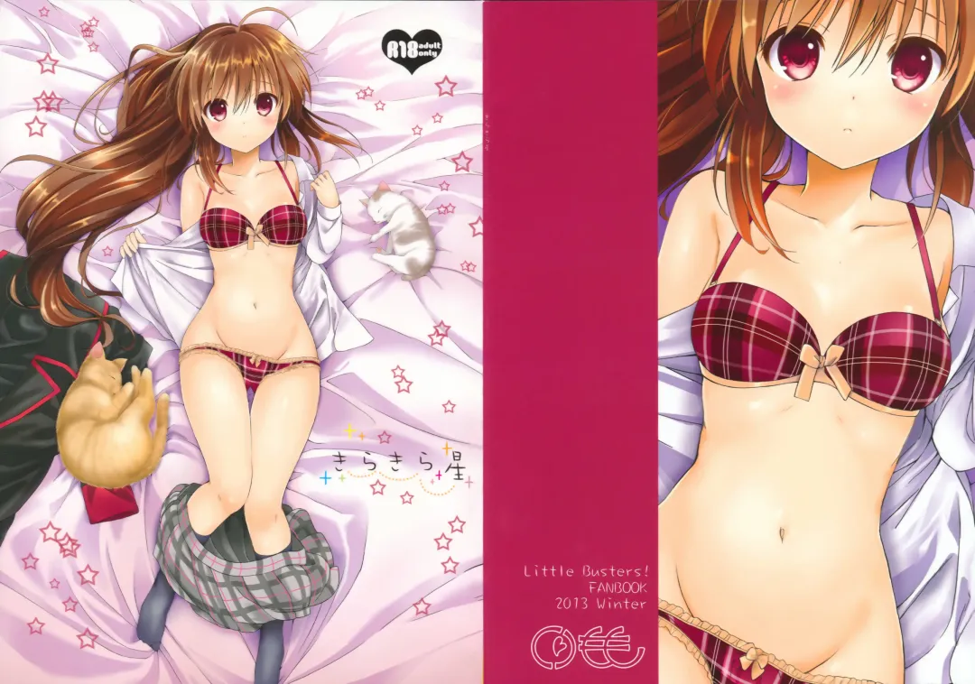 [Tsukako] Kirakira Boshi | Twinkle Star Fhentai - Page 2