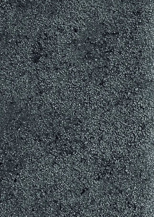 [Ai Samurai] Zenryoku Kyuuji no Koubi-roku Fhentai - Page 22