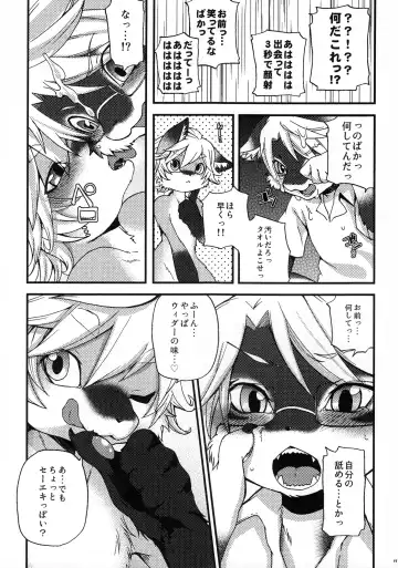 [Inumimi Moeta] Weider in charging Fhentai - Page 16