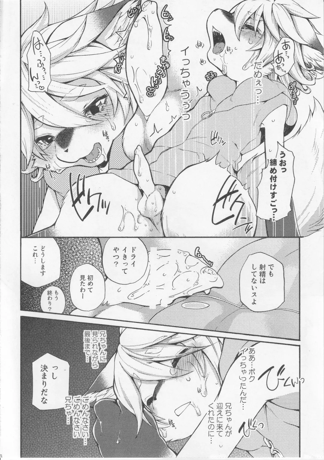 [Inumimi Moeta] Fancy Lincoln Fhentai - Page 15