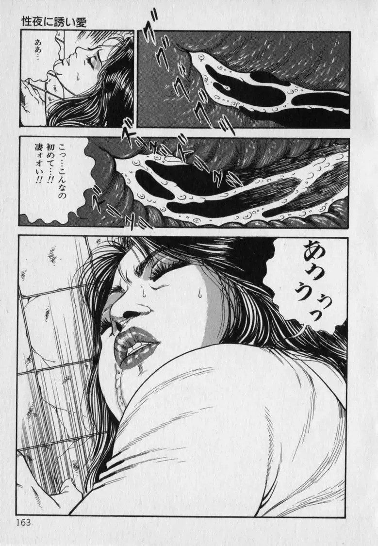 [Hachuu Rui] Innyuu Densetsu Fhentai - Page 165